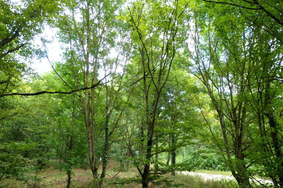 P1011585 