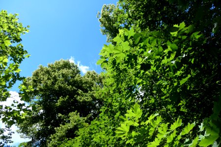 P1011549 