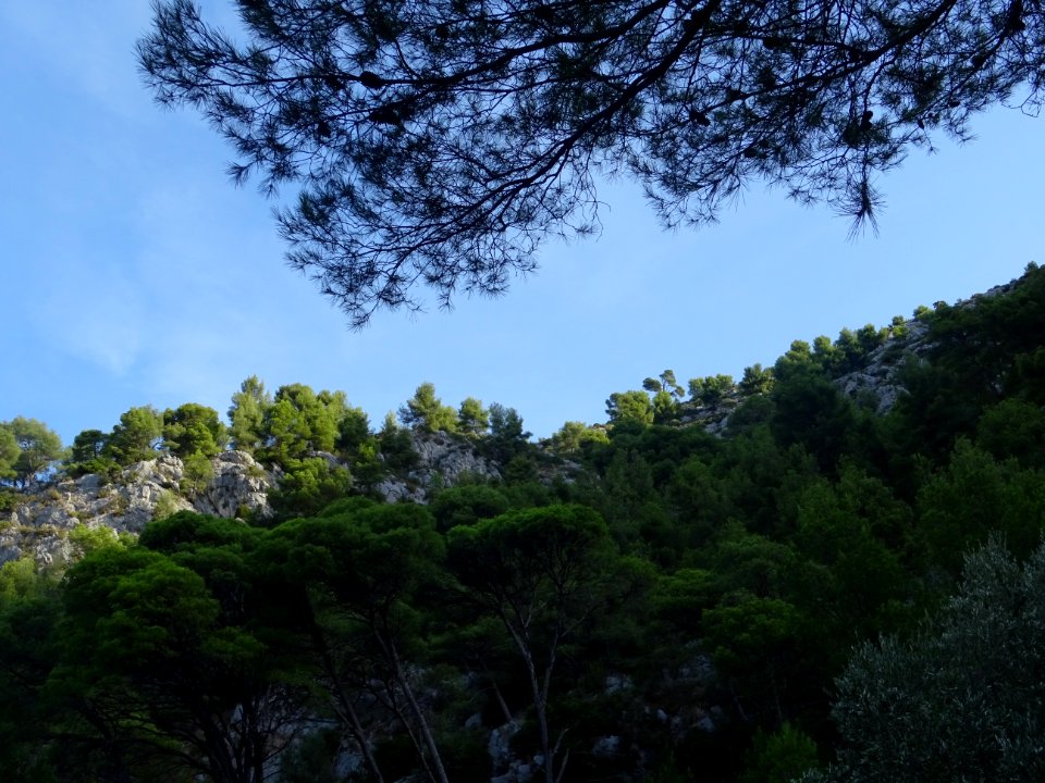 Gorges d'Ollioules 