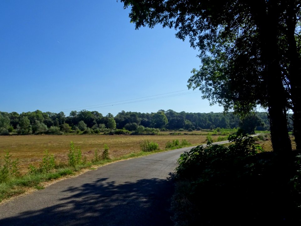 Court passage à l'ombre sur le chemin de Salgues 