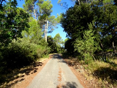 A la recherche du château de Mentone ... où comment se per… 