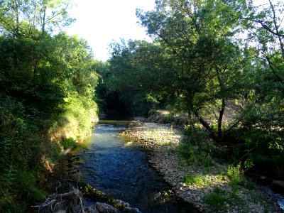 DSC05903 
