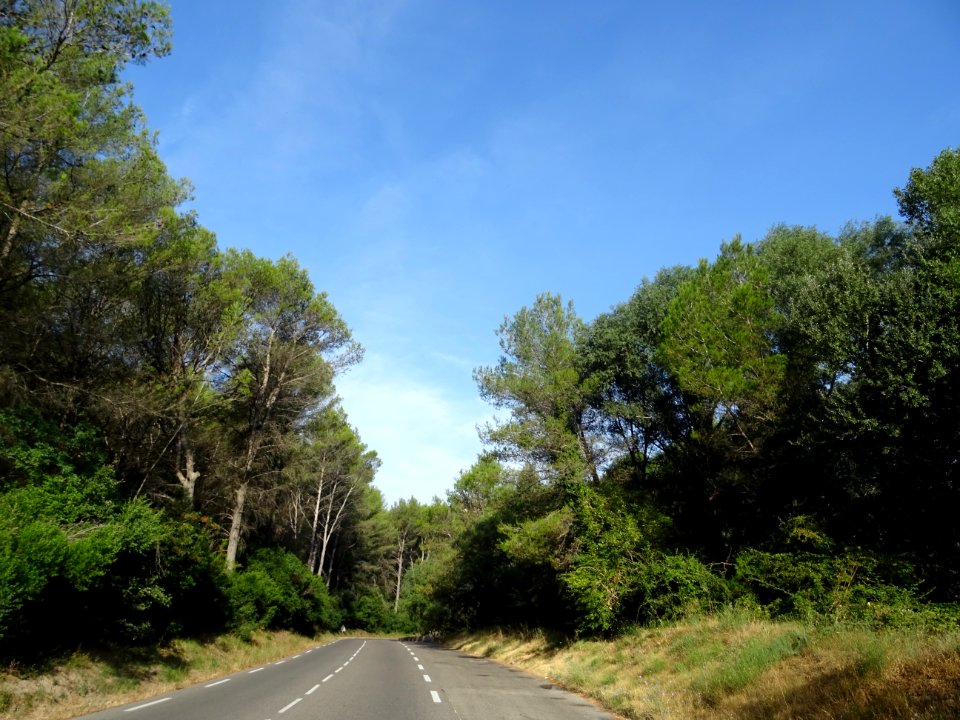 A la sortie des gorges d'Ollioules 