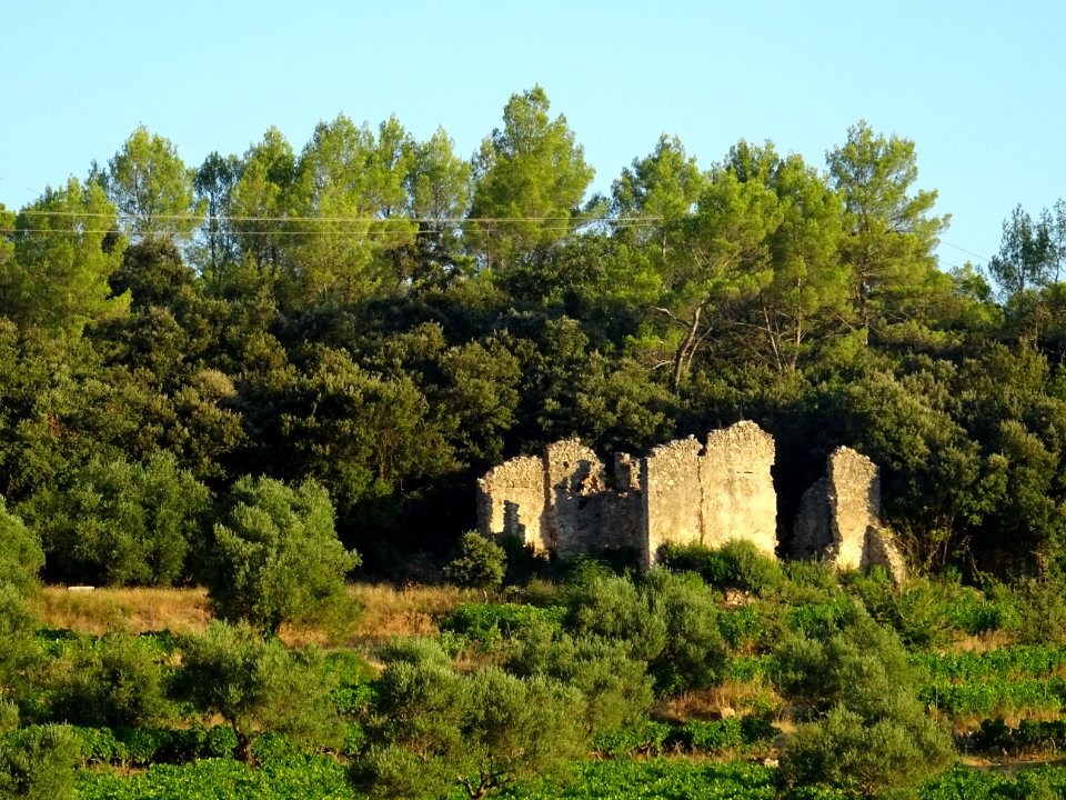 Ruines entre Carcès et Entrecasteaux, Var 