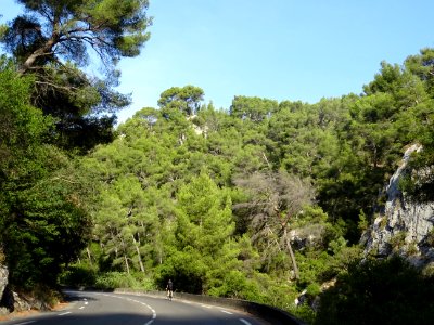 Gorges d'Ollioules 