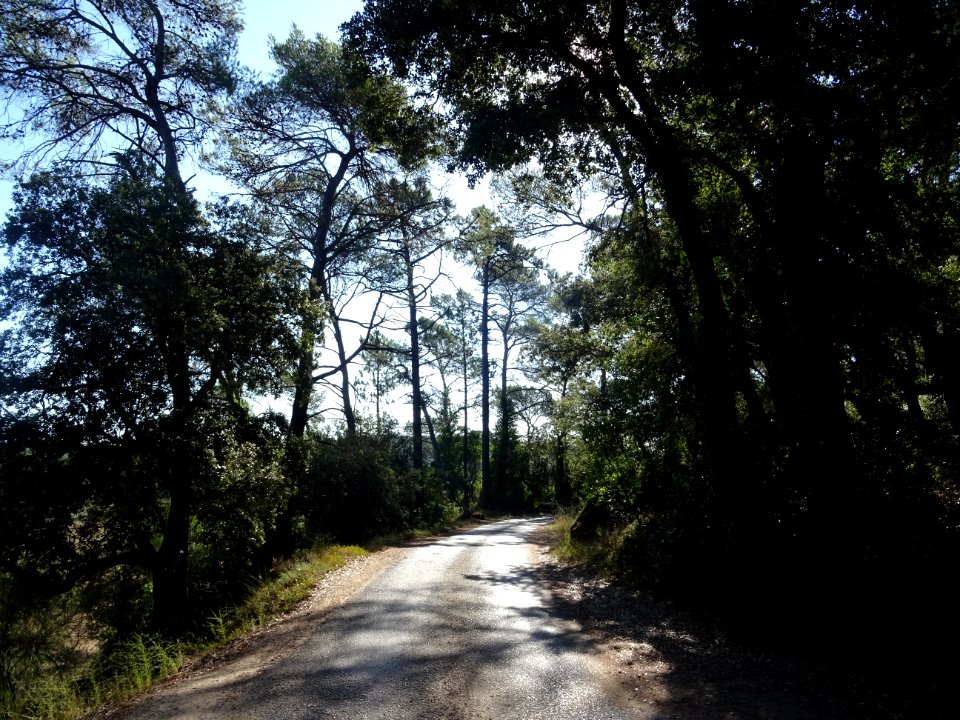 Début de la descente 