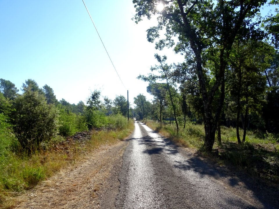 Après Mentone, sur le chemin de Salgues, petite route carr… 