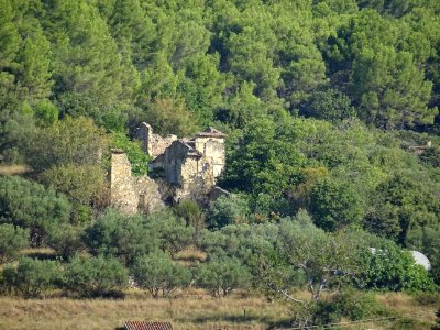 Après Mentone, vue depuis le chemin de Salgues sur les vig… 