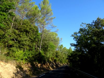 DSC05902 