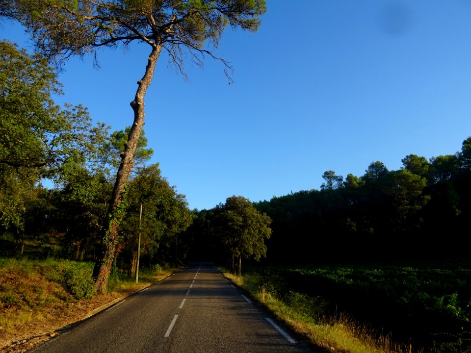 Entre Carcès et Entrecasteaux, Var 