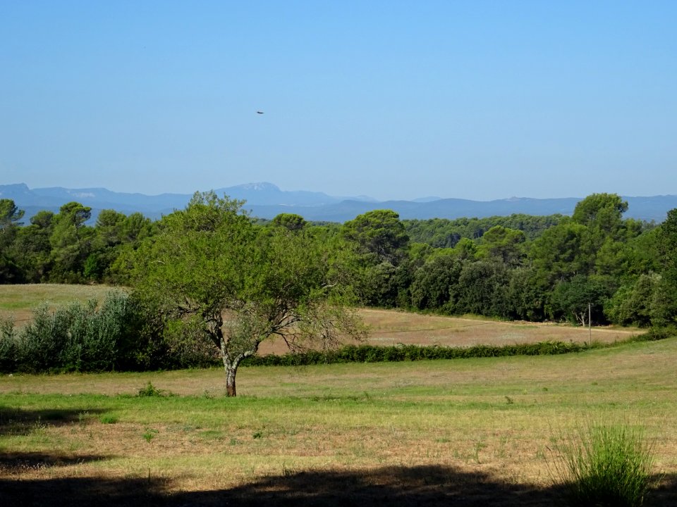 Paysage du Var entre Mentone et le chemin de Salgues 