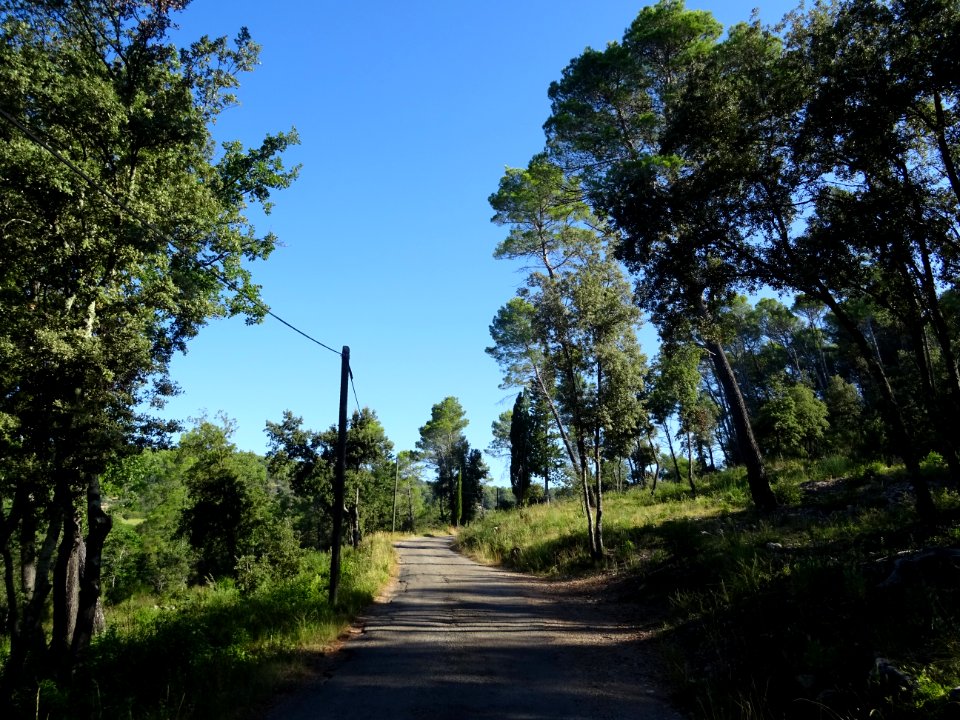 Après Mentone, sur le chemin de Salgues, petite route carr… 