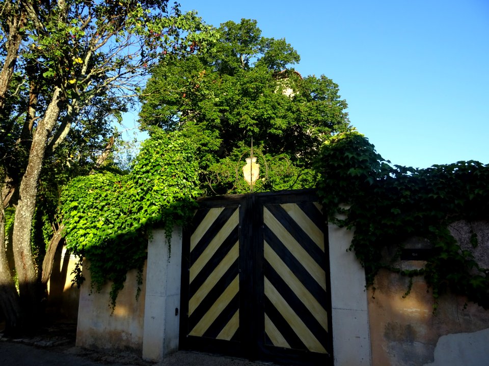 Portail d'entrée latérale du château d'Entrecasteaux, Entr… 