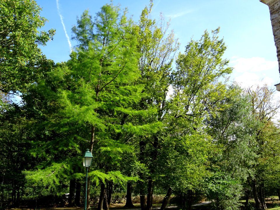 Parc du Château des Tourelles, Le Plessis-Trévise, Val-de-… 