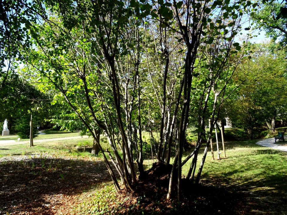 Parc du Château des Tourelles, Le Plessis-Trévise, Val-de-… 