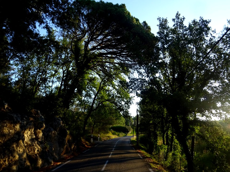 Entre Carcès et Entrecasteaux, Var 