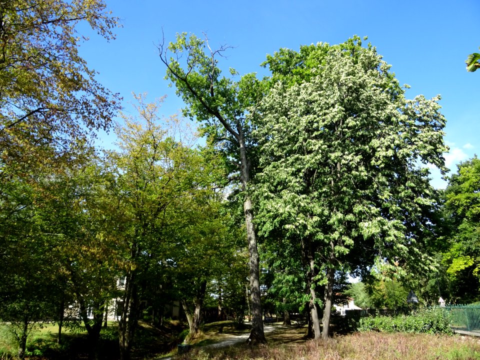 Parc du Château des Tourelles, Le Plessis-Trévise, Val-de-… 
