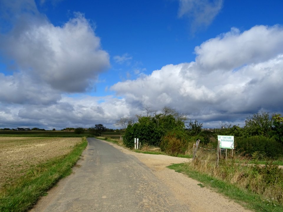 Sur la route entre Limon et Saclay 
