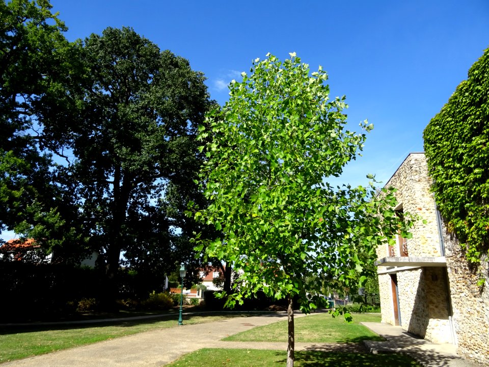 Parc du Château des Tourelles, Le Plessis-Trévise, Val-de-… 