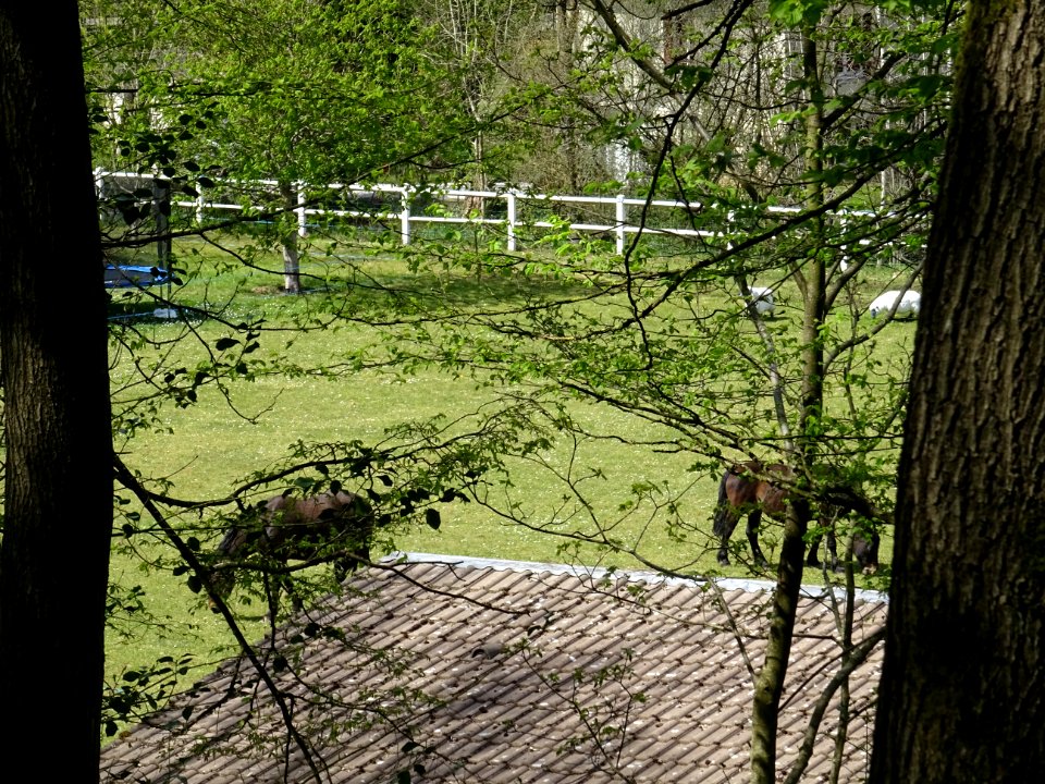 DSC00179 