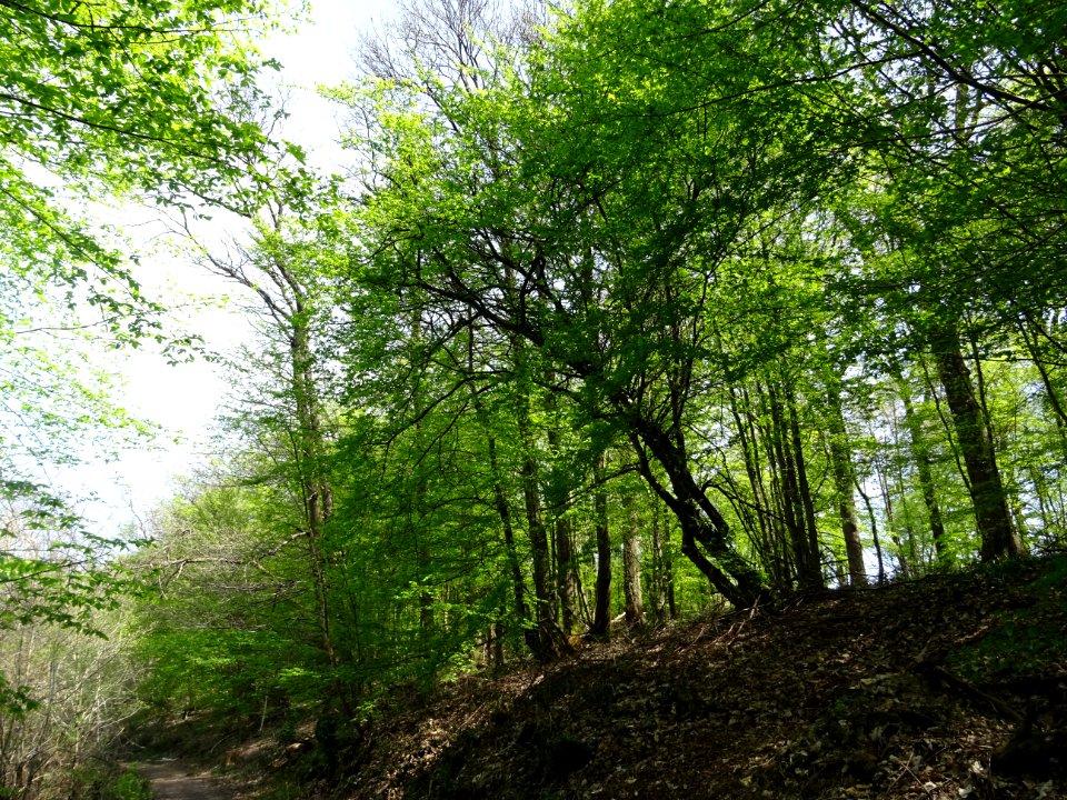 DSC00189 
