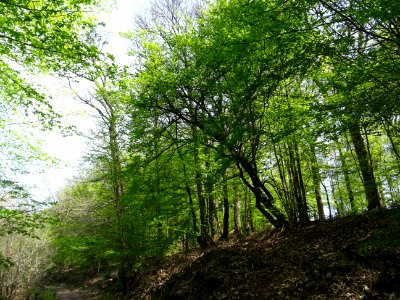 DSC00189 