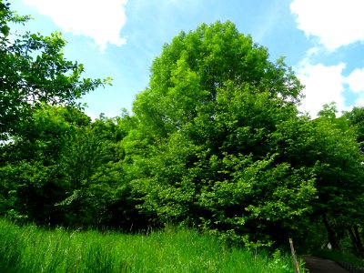 DSC03388 