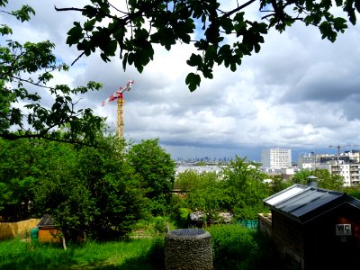 Vue vers les tours de la Défense depuis le jardin botaniqu… 