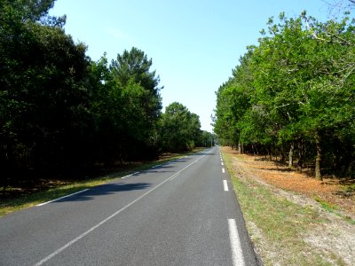 Dernière ligne droite interminable ... avant le retour au … 
