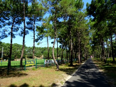 DSC05110 