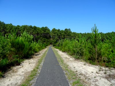 DSC05104 