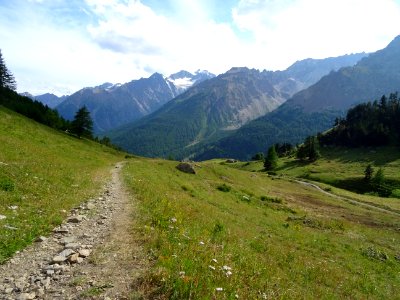Long sentier agréable pour redescendre 