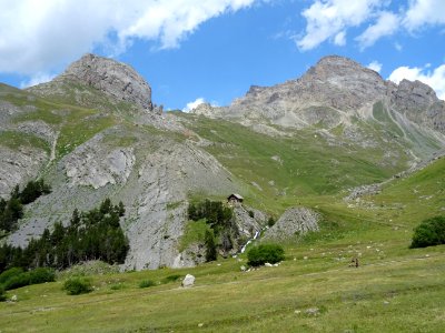 DSC05530 