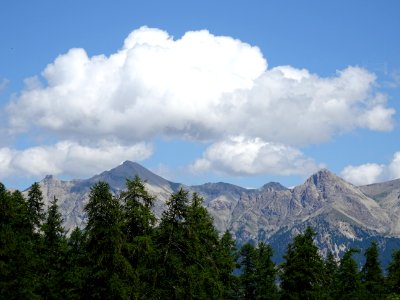 DSC06040 