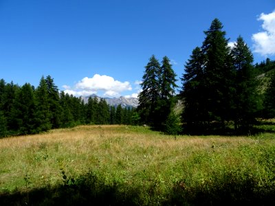 DSC06039 