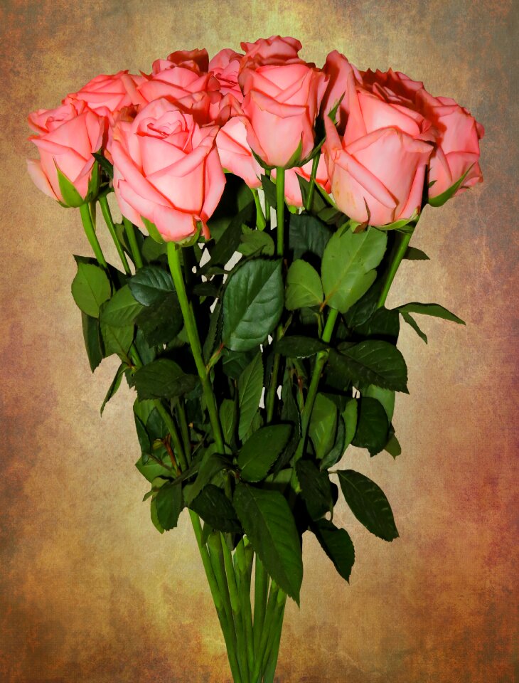 Flowers roses wedding bouquet