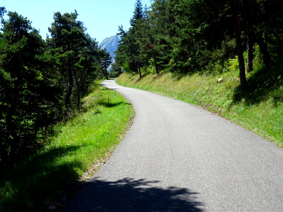 Dans la montée au col du Noyer 
