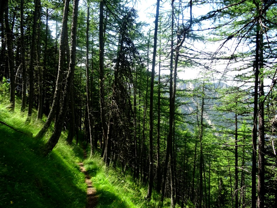 Le sentier pour descendre vers le refuge Basse Rua 