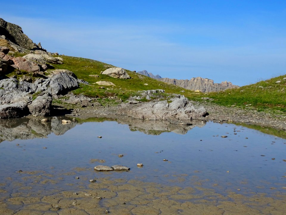 Petite mare temporaire dans le Vallon Claus 