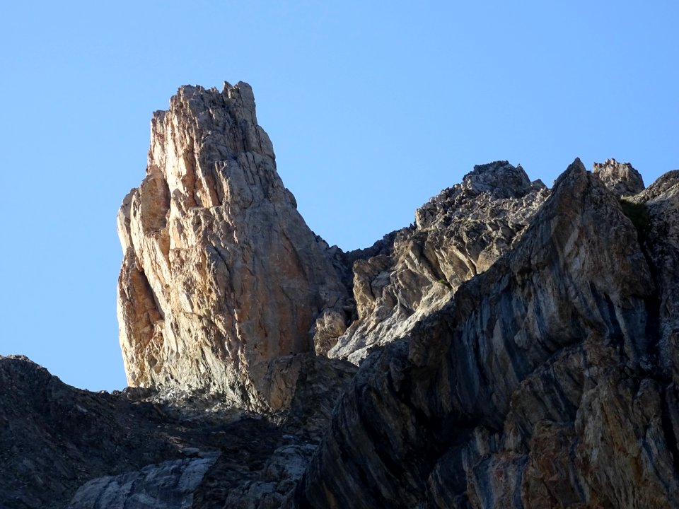 Dans le Vallon Claus, les Aspaturas ... habitat des bouque… 