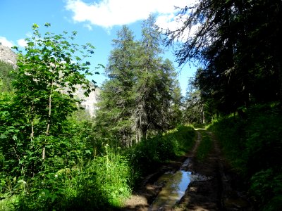 DSC07383 