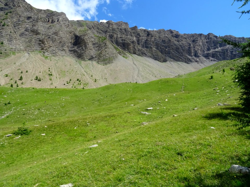 Dans la longue descente du vallon du Rabioux 