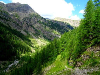 Dans la descente, sur le sentier entre l'ancienne cabane T… 