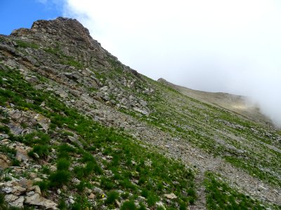 Sur le sentier ou trace, dans la descente du col de la Règ… 
