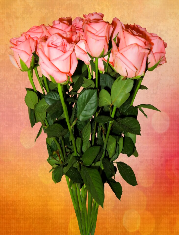 Flowers roses wedding bouquet