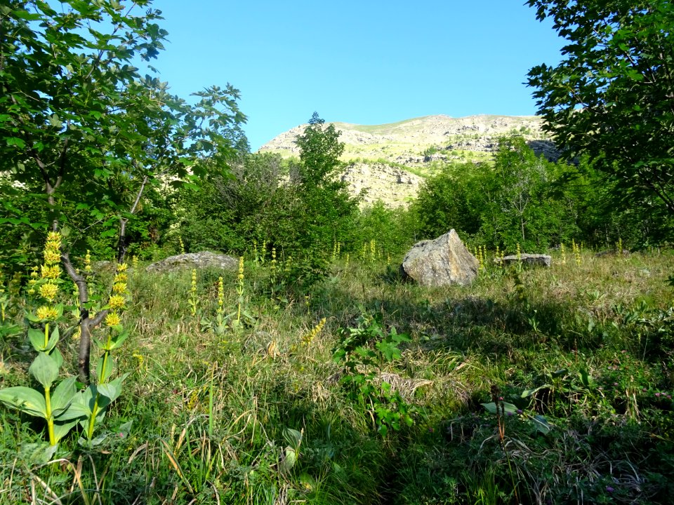 DSC07021 