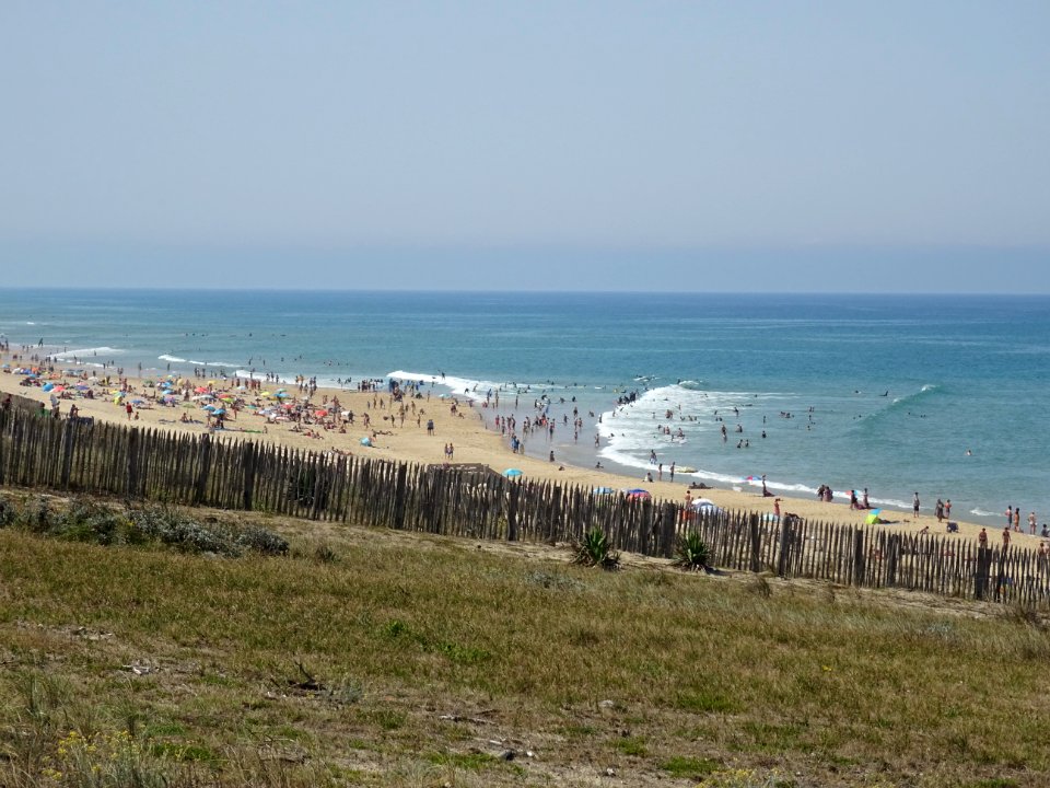 DSC05115 