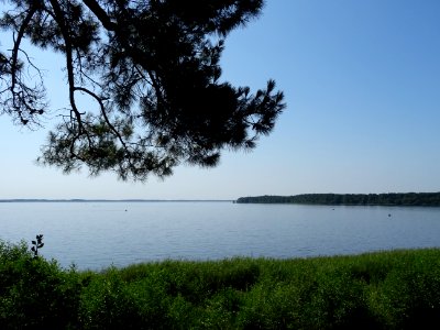DSC05093 
