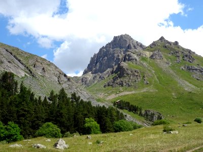 DSC05518 