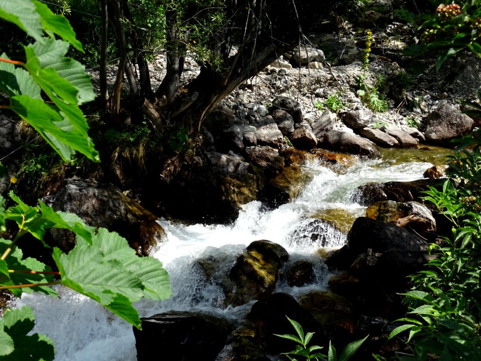 Torrent du Rif 